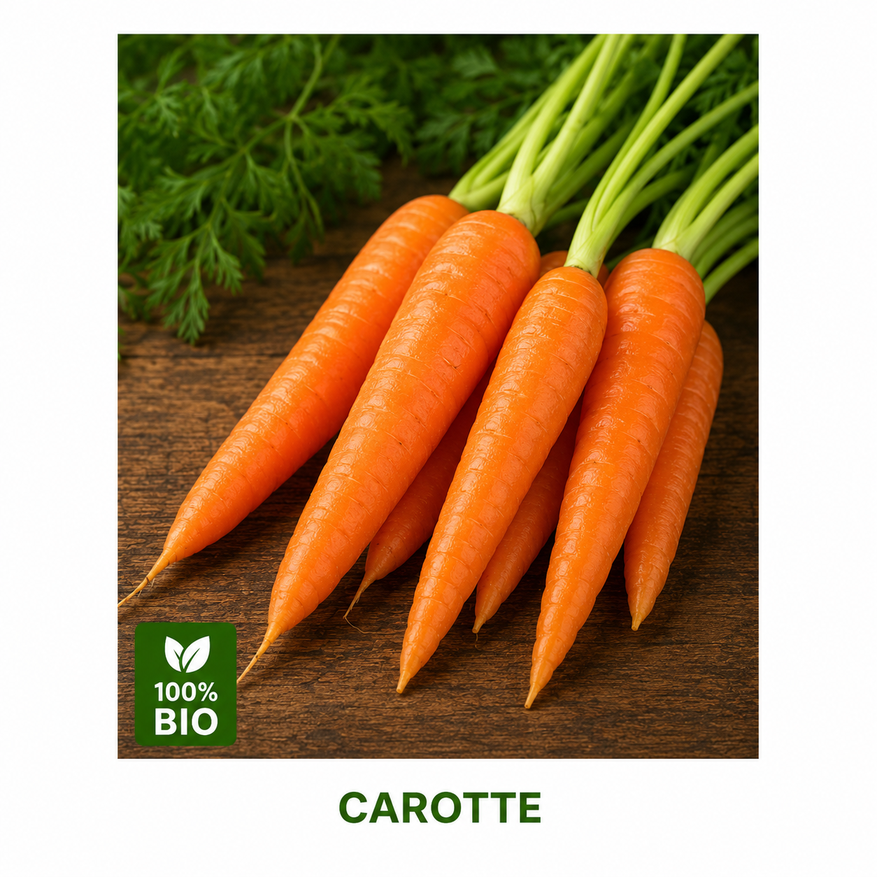 Carrote