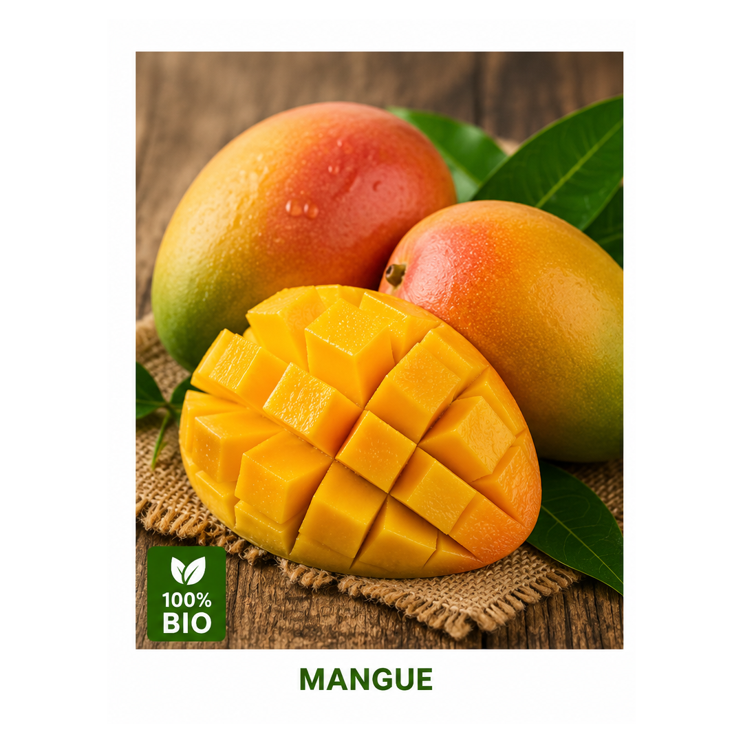 Mangue
